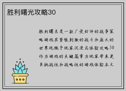 胜利曙光攻略30